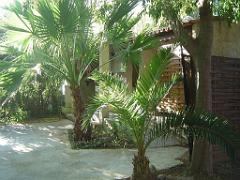 183 D35 PARC OLBIUS RIQUIER A HYERES_000010